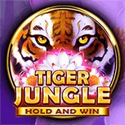 Người dùng truy cập và kiểm soát dữ liệu cá nhân trên nền tảng king78 win